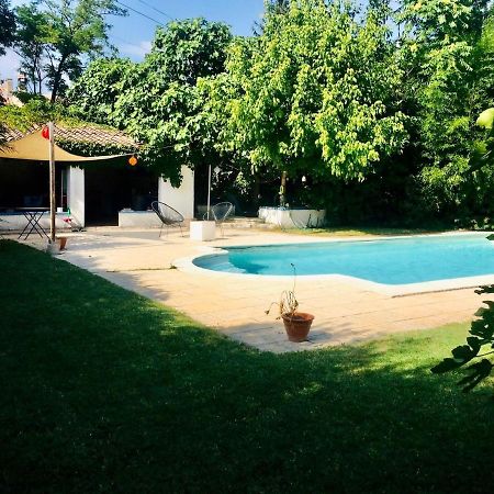 Studio Independant Terrasse Piscine Avignon Exteriör bild